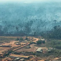 Foto: GREENPEACE