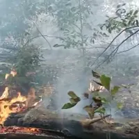 Captură video: ISU Giurgiu