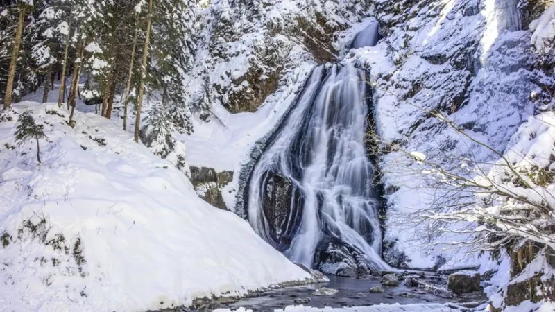 Cascada Vălul Miresei - Foto: Facebook/Regia Națională a Pădurilor – Romsilva