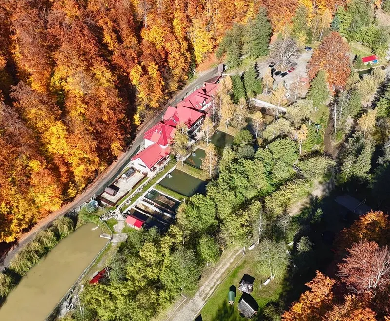 Păstrăvăria Brătioara - Foto: Facebook / Păstrăvăria Brătioara