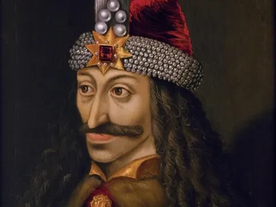 Cum arată papagalul Dracula - Foto: arhiva