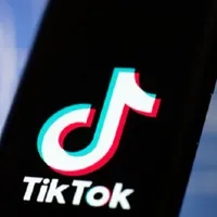 Logou-l TikTok/FOTO: news.ro