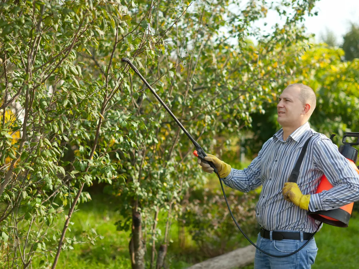 Cum poți stropi pomii dacă ai animale în curte? Ce să faci dacă au intrat în contact cu substanța