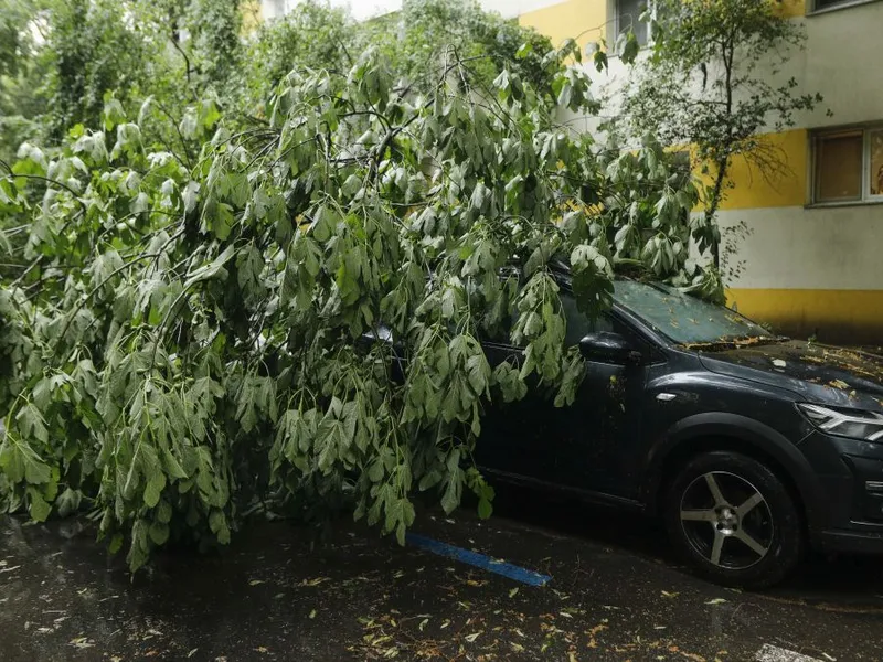 Copac căzut pe o maşină, în Bucureşti, după furtună - Foto: INQUAM PHOTOS/Malina Norocea