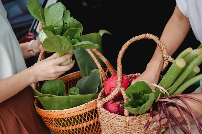 Recoltare de legume &icirc;n seră - Foto: Pexels/Sam Lion