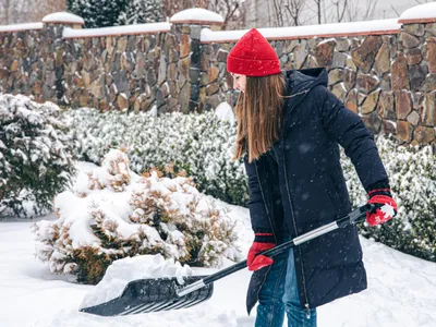Grădina cu legume - Foto: Freepik