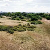 UAIC luptă pe mai multe fronturi cu „imobiliarii” de pe Litoral - Foto: ctnews.ro