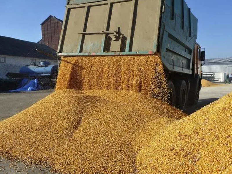 Peste 160 de tone de cereale ucrainene au fost distruse într-o gară poloneză în urma protestelor - Foto: Agrostiinta / imagine cu rol ilustrativ