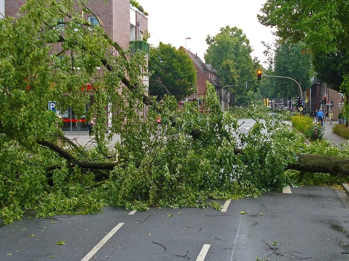 RO-ALERT în București: averse, ploi torențiale și intensificări ale vântului. Ce se întâmplă acum - Foto: Pixabay(imagine cu rol ilustrativ)