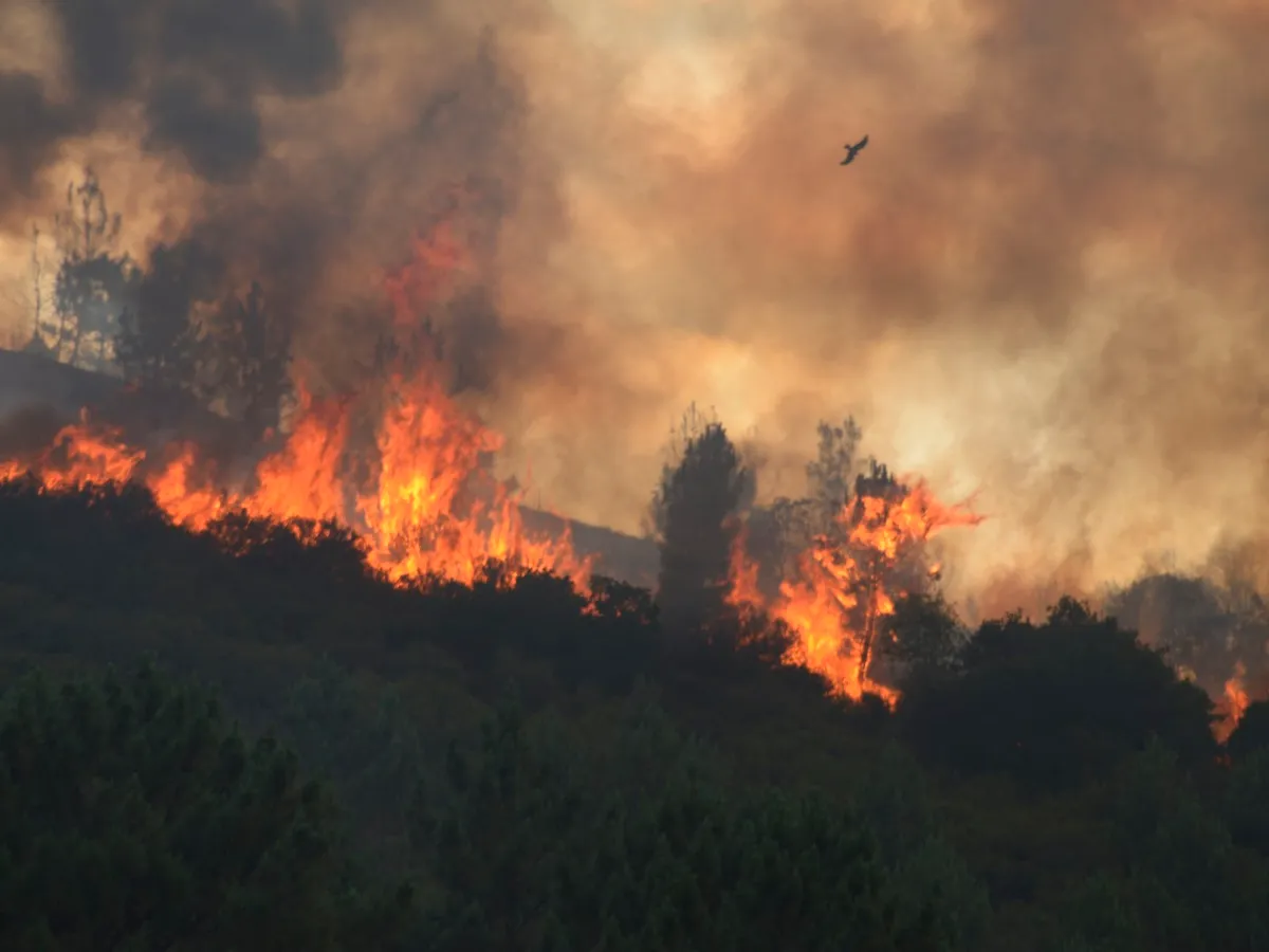 Alarmă de incendii în destinații de vacanță europene. Ce țări preferate de români sunt sub stăpânirea focului