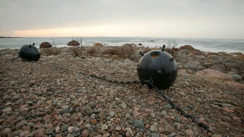 Mine marine - Foto: Profimedia images