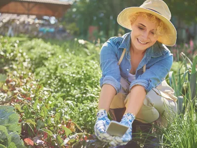 Prim-plan asupra unei femei care își îngrijește grădina - Foto: Magnific.com (Imagine cu rol ilustrativ)