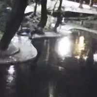 O gașcă de puști teribiliști a vandalizat lăculețul abia refăcut din Parcul Kiseleff. / Foto: captură video
