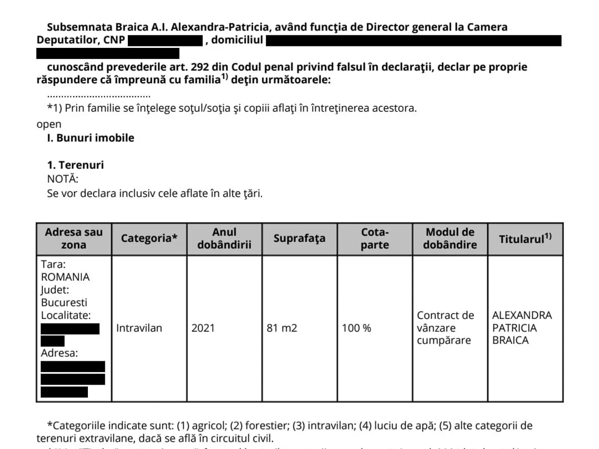 Declarație de avere Alexandra Patricia Braica