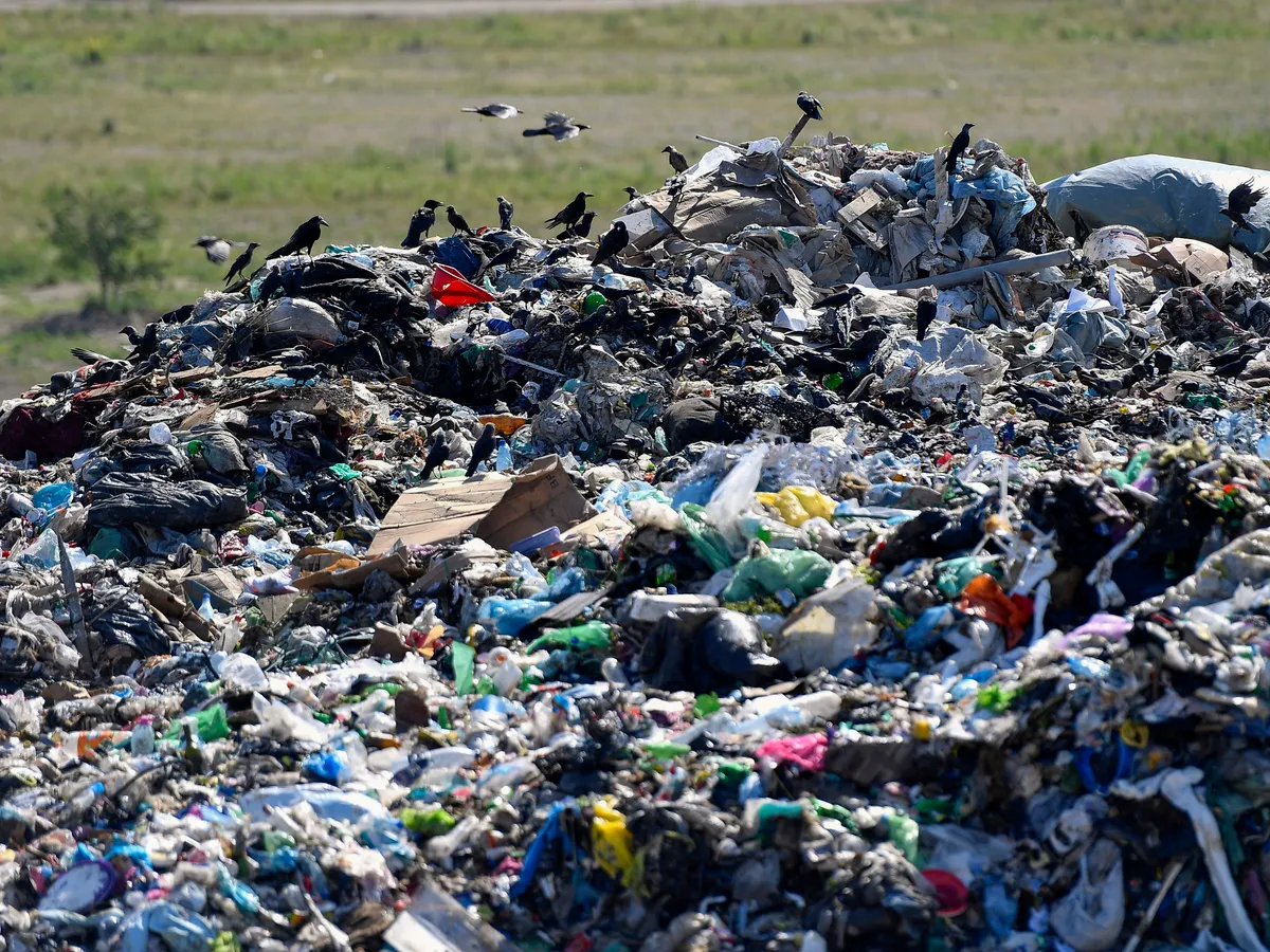 Groapă gunoi - Foto: INQUAM PHOTOS / Octav Ganea