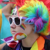 CNA, atent la modul cum e prezentată parada din 14 august. FOTO: Facebook