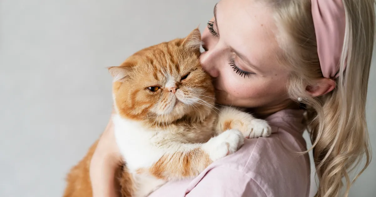 Este bine să-ți săruți pisica pe botic? Află ce spun veterinarii despre alintatul felinelor • Newsweek România