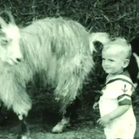 Recunoașteți personajul? Băiețelul care a jucat în cele mai urmărite filme românești. Sigur îl știi - Foto: Arhiva / imagine cu rol ilustrativ