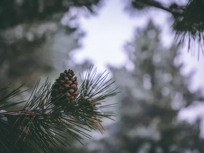 Pin Foto: Freepik (imagine cu rol ilustrativ)