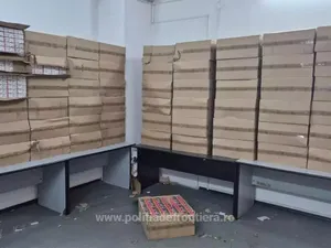 Țigări de 800.000 lei descoperite de polițiști la vamă. Ce pedeapsă poate primi cetățeanul străin? - Foto: Arhiva