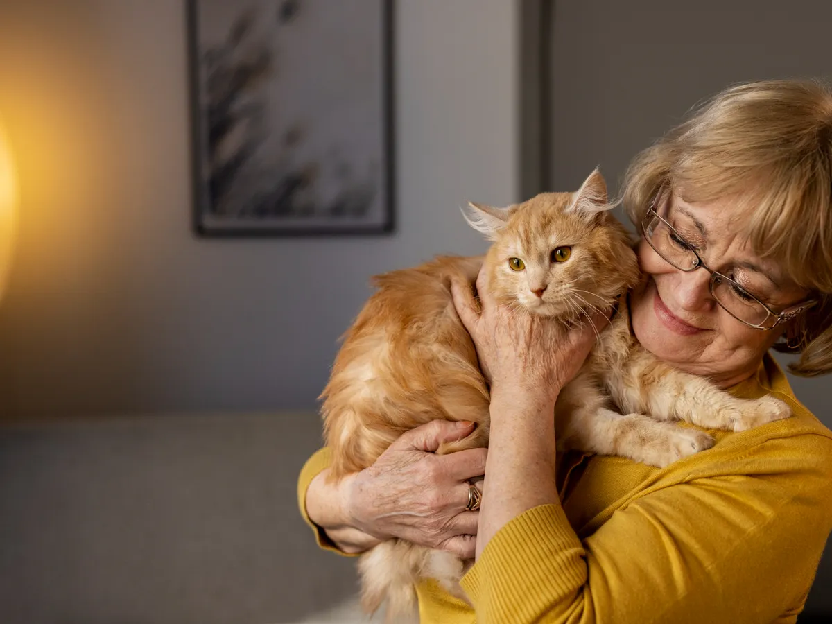 Cum simt pisicile că se apropie necazurile în viața ta și încearcă să îți spună. Te pot salva