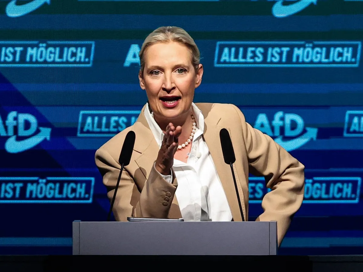 Alice Weidel