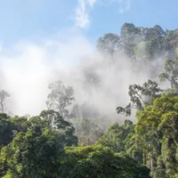 Oaza „tropicală” din România unde dacii cereau ajutorul zeilor. Aici răsuflă aburi și de 56 de grade - Foto: Profimedia Images/ Imagine cu caracter ilustrativ