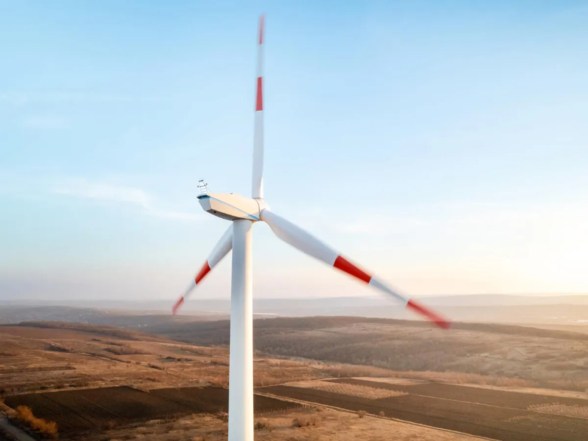 Eoliană Foto: Freepik (rol ilustrativ)