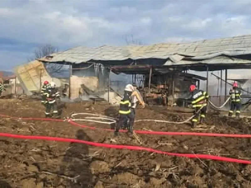 Pericol de explozie. Incendiu la o hală care e învecinată cu un depozit de azotat de amoniu - Foto: Alba24