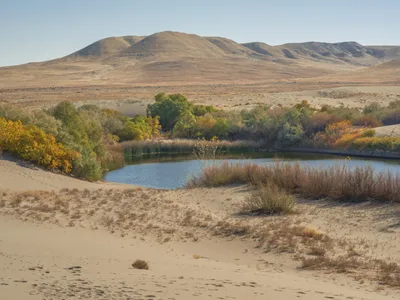 Apă în deșert - Foto: Freepik (Imagine cu rol ilustrativ)