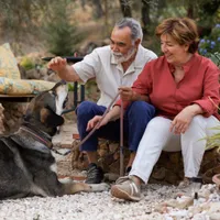 Anunțul șefului Casei de Pensii așteptat pensionarii. Când vor primi noul talon de pensia mărită? - Foto: Freepik