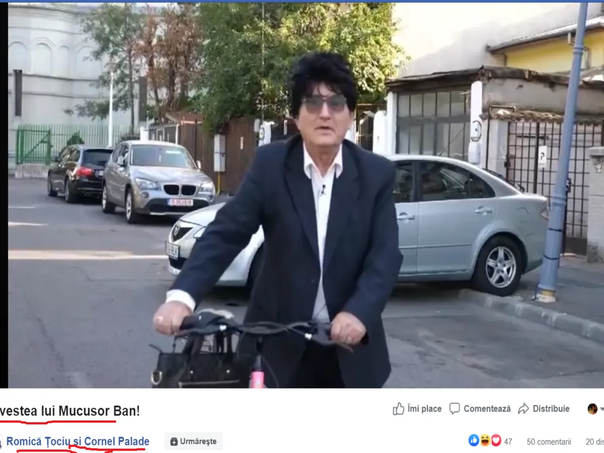 Scenetă electorală cu Țociu și Palade