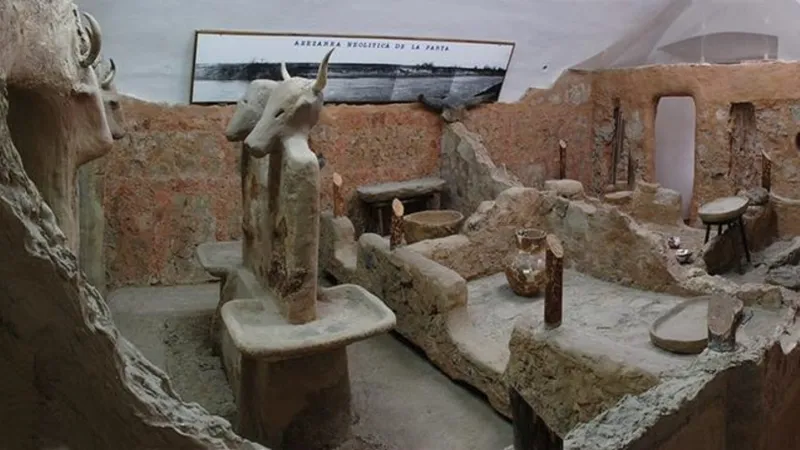 Vestigii vechi de 6200 de ani au fost descoperite în România. Exponatele au ajuns în New York Foto: romaniaenigmatica.ro