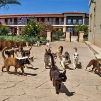 Unde se află Mănăstirea pisicilor, cel mai ciudat lăcaș de cult din lume - Foto: estateofcyprus.com (cu rol ilustrativ)
