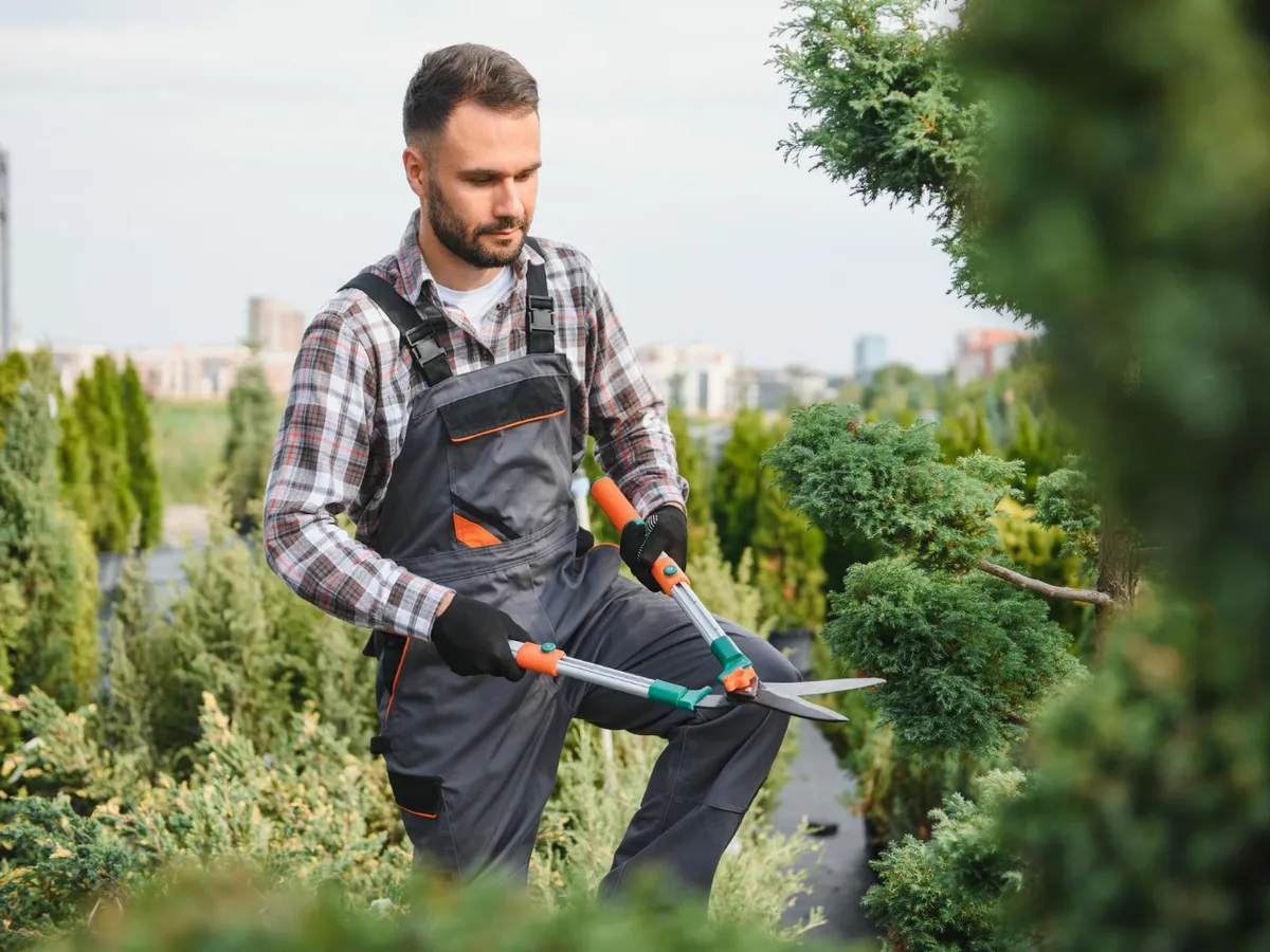 Lucrări de tăiere a grădinii pentru a menține aspectul arbuștilor, tufișurilor, copacilor - Foto: Freepik (Imagine cu rol ilustrativ)