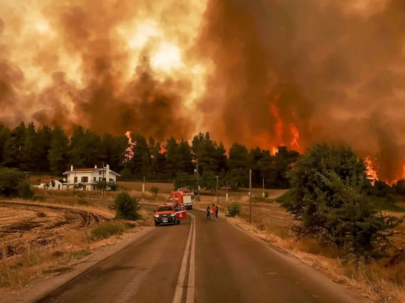 Incendiile de vegetație din vară au provocat emisii record de CO2. / Foto: abcnews.go.com