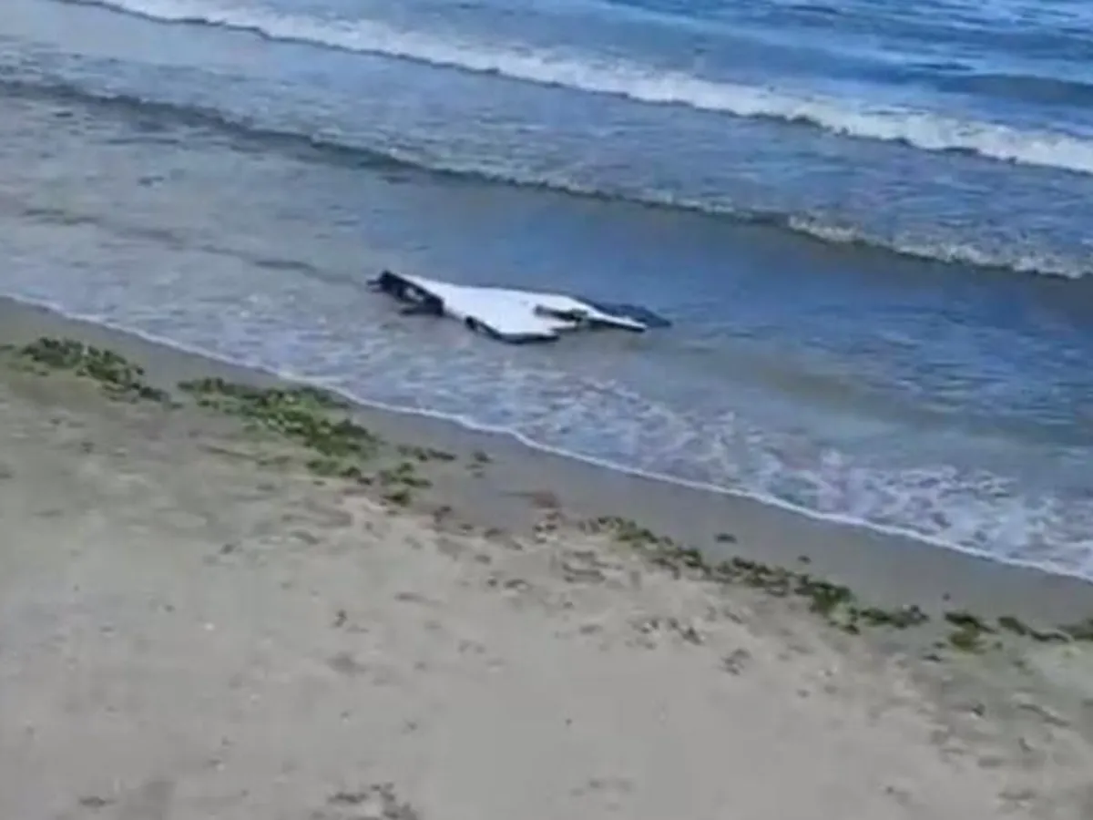 Un fragment de dronă a fost găsit pe o plajă din Constanţa. Nu are explozibil