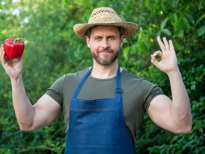 Grădinar cu un ardei gras - Foto: Freepik (Imagine cu rol ilustrativ)