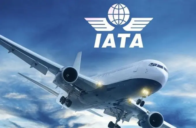 IATA dă vina pe guvernele din întreaga lume pentru prelungirea crizei din sectorul călătoriilor. / Foto: theloadstar.com