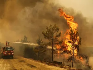 Sudul Bulgariei, pârjolit de secetă și caniculă: incendii de vegetație în mai multe zone. / Foto: theguardian.com