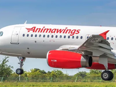 Animawings Foto: shutterstock (imagine cu rol ilustrativ)