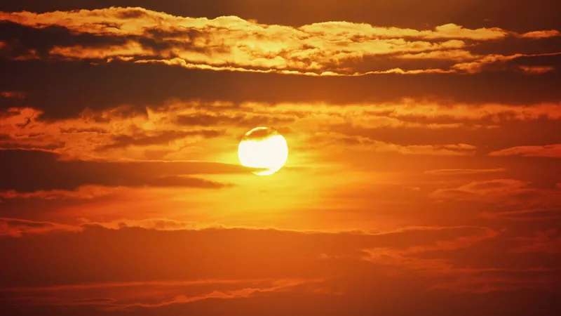 Caniculă, imagine cu caracter ilustrativ - Foto: Pexels