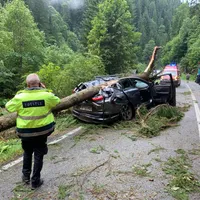 O femeie a decedat pe Transalpina după ce un copac a căzut pe o mașină - Foto: ISU Alba