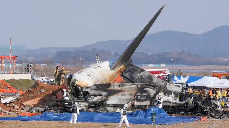 Cauza tragediei aviatice din Coreea de Sud. Peste 160 de pasageri, confirmați morți - Foto: Profimedia Images