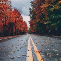 Ploi și furtuni în Europa. Care sunt țările cel mai tare afectate de schimbările climatice foto: Pexels (fotografie cu caracter ilustrativ)