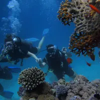 Scubadiving- Foto: PEXELS PHOTOS/Oleksandr Pidvalnyi