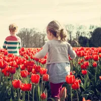 60 de copii semănau între ei/Foto: Pexels
