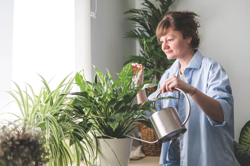 O femeie udă plantele de apartament - Foto: Magnific.com (Imagine cu rol ilustrativ)