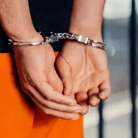 A fost condamnat pentru că a furat un leu - Foto: Pexels/ Kindel Media