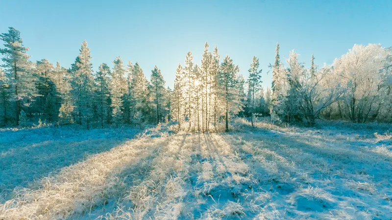 VREMEA Va fi o iarnă geroasă datorită unui vortex polar. La ce se așteptăm peste câteva luni? Foto: Pexels (fotografie cu caracter ilustrativ)